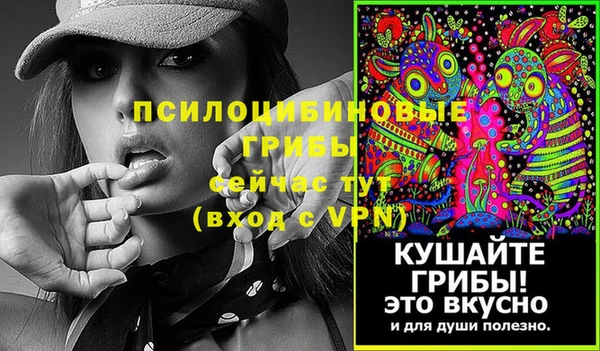 mix Рославль