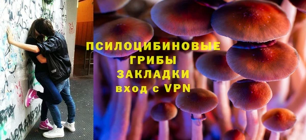 ПСИЛОЦИБИНОВЫЕ ГРИБЫ Заволжск