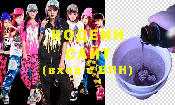 индика Заволжье
