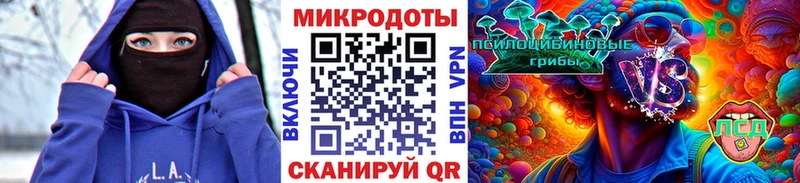mega как войти  Спасск-Дальний  Псилоцибиновые грибы прущие грибы  купить наркотики цена 