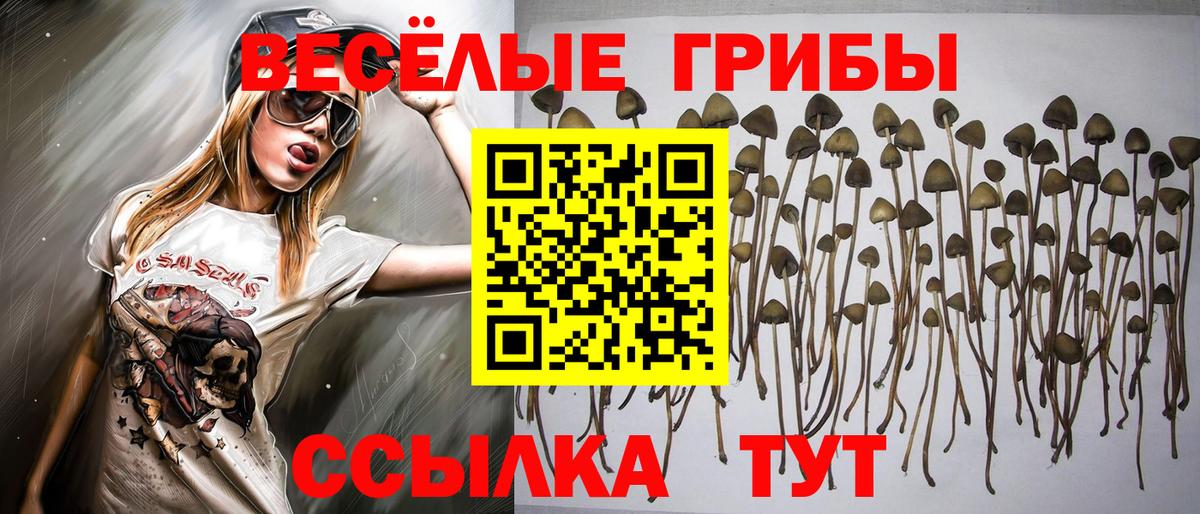 Галлюциногенные грибы прущие грибы  даркнет сайт  Спасск-Дальний  Псилоцибиновые грибы ЛСД  Вход с VPN 
