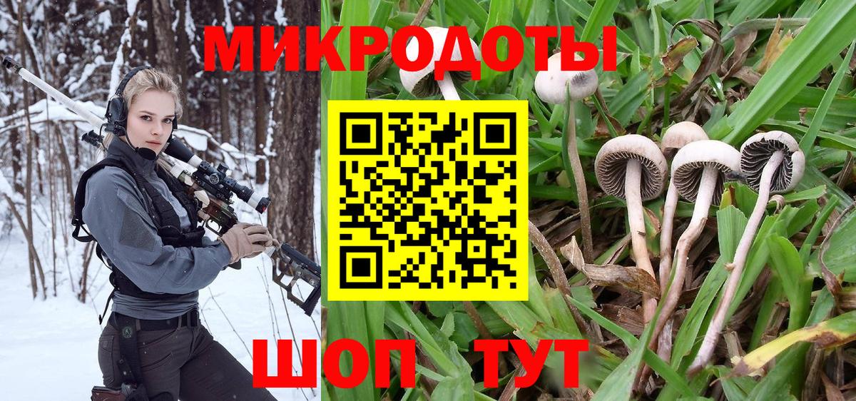 Галлюциногенные грибы GOLDEN TEACHER Спасск-Дальний
