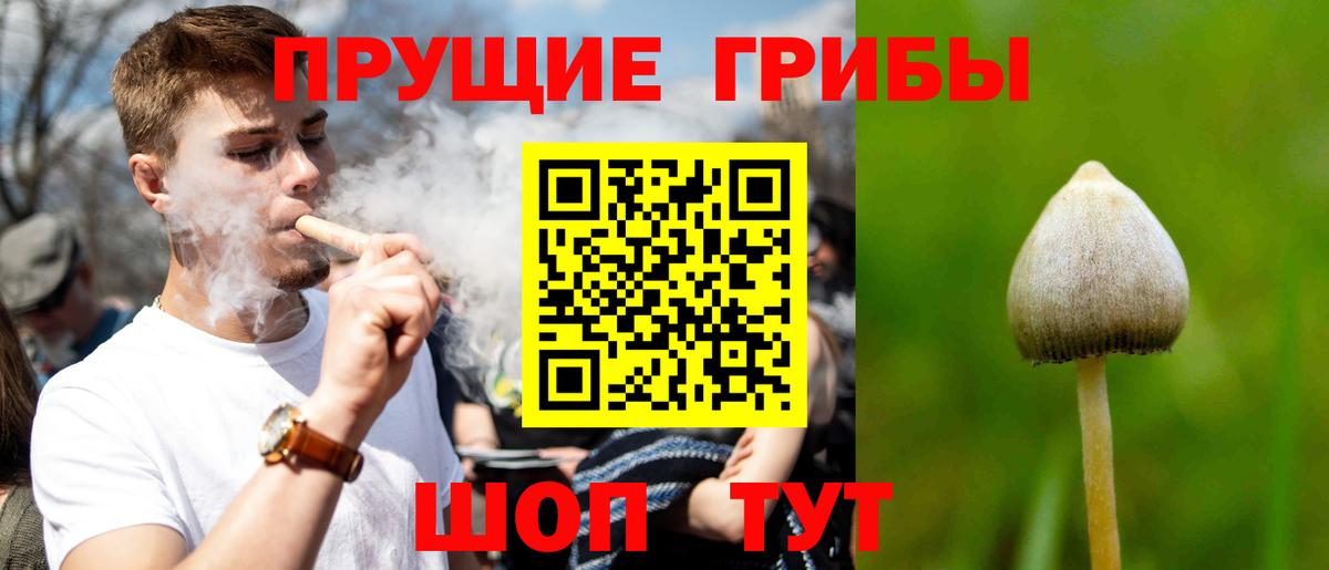 Псилоцибиновые грибы MAGIC MUSHROOMS Спасск-Дальний